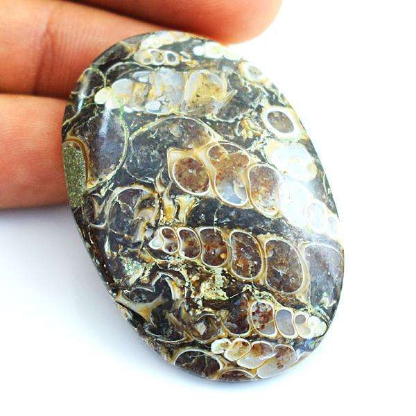 gemsmore:Natural Oval Shape Turritella Agate Untreated Loose Gemstone