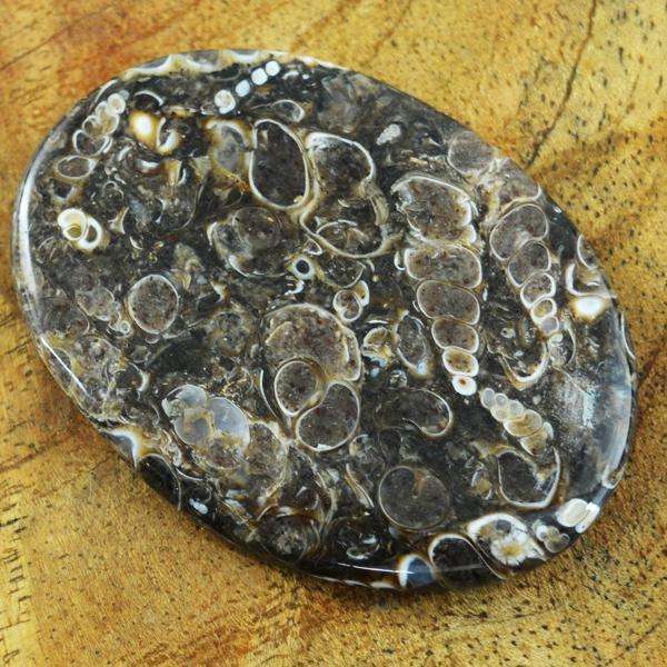 gemsmore:Natural Oval Shape Turritella Agate Untreated Loose Gemstone