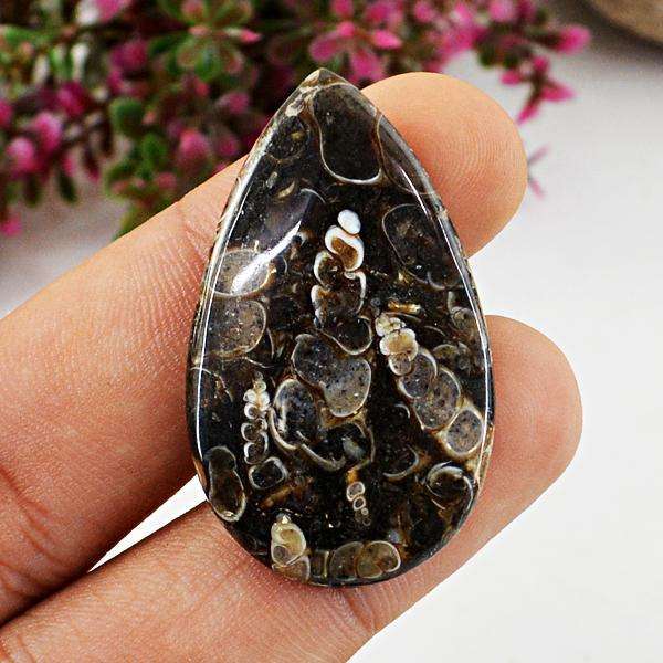gemsmore:Natural Pear Shape Turritella Agate Untreated Loose Gemstone