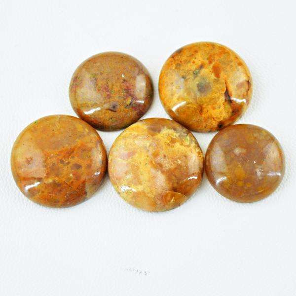 gemsmore:Natural Round Shape Ocean Jasper Untreated Loose Gemstone Lot