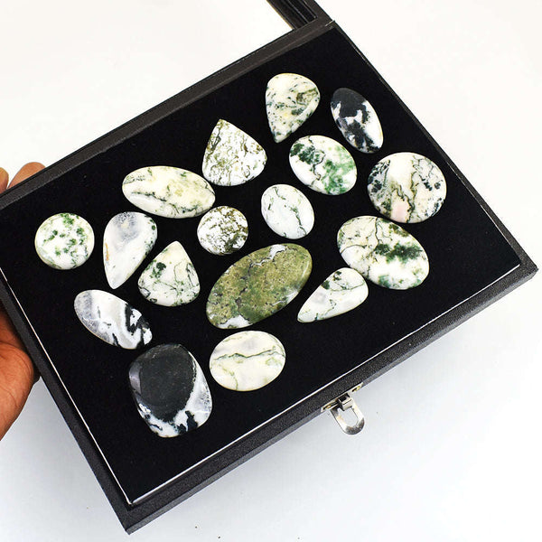 gemsmore:Natural Tree Agate Untreated Gemstone Cabochon Lot