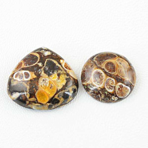 gemsmore:Natural Turritella Agate Untreated Loose Gemstone Lot