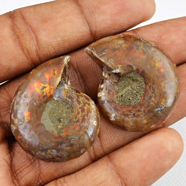 gemsmore:Natural Untreated Ammonite Gems Pair