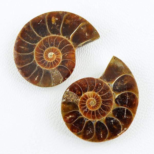 gemsmore:Natural Untreated Ammonite Gems Pair
