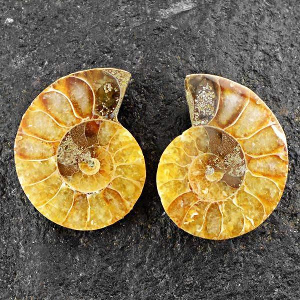 gemsmore:Natural Untreated Ammonite Gemstone Pair