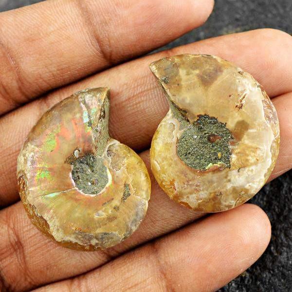 gemsmore:Natural Untreated Ammonite Gemstone Pair