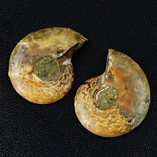 gemsmore:Natural Untreated Ammonite Gemstone Pair