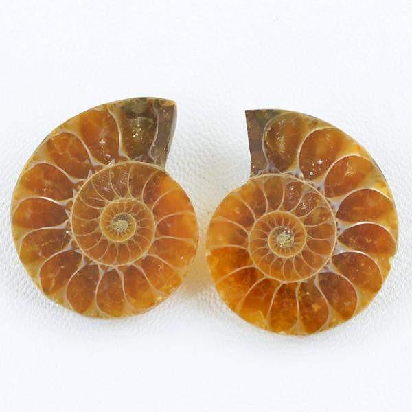 gemsmore:Natural Untreated Ammonite Gemstone Pair