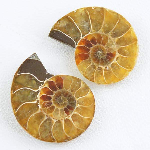 gemsmore:Natural Untreated Ammonite Gemstone Pair