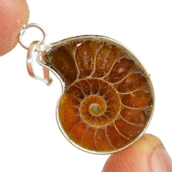 gemsmore:Natural Untreated Ammonite Pendant