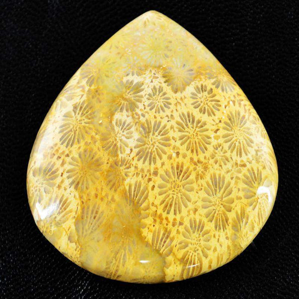 gemsmore:Natural Untreated Coral Fossil Gemstone - Pear Shape