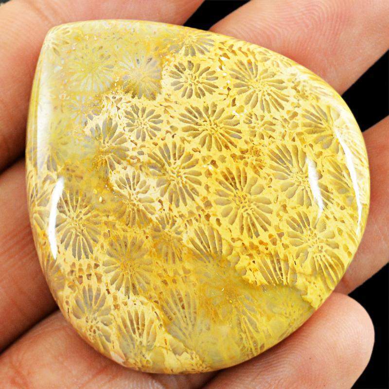 gemsmore:Natural Untreated Coral Fossil Gemstone - Pear Shape