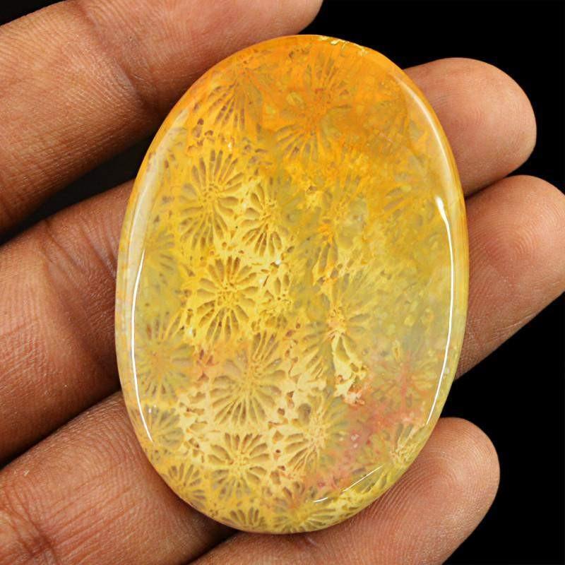 gemsmore:Natural Untreated Coral Fossil Oval Shape Gemstone