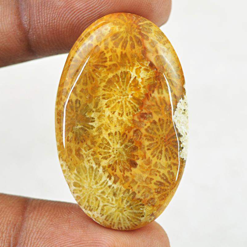 gemsmore:Natural Untreated Coral Fossil Oval Shape Gemstone