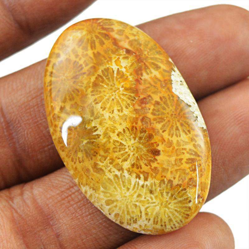 gemsmore:Natural Untreated Coral Fossil Oval Shape Gemstone