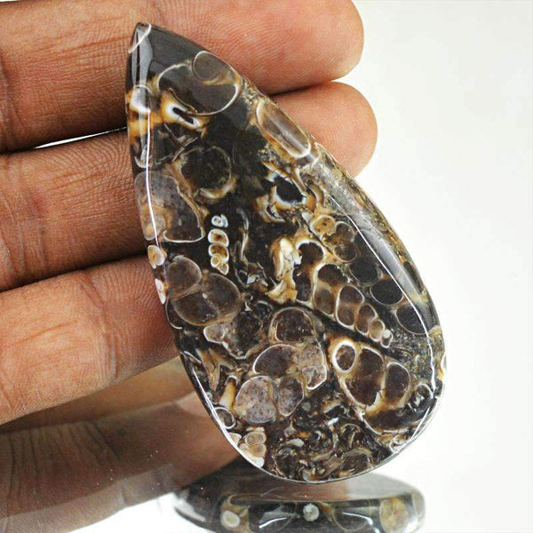 gemsmore:Natural Untreated Crinoid Fossil Gemstone - Pear Shape