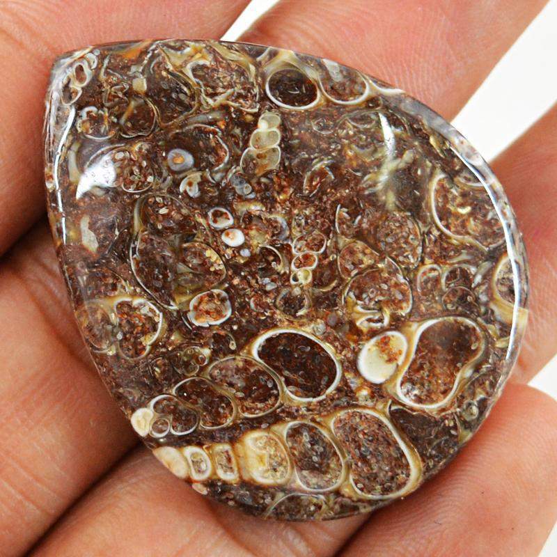 gemsmore:Natural Untreated Crinoid Fossil Pear Shape Gemstone