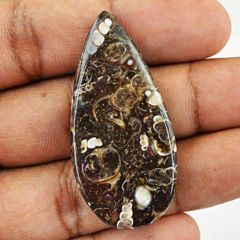 gemsmore:Pear Shape Crinoid Fossil Gemstone Natural Untreated