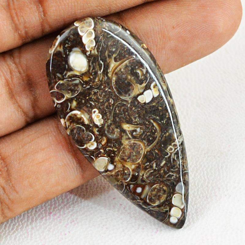 gemsmore:Pear Shape Crinoid Fossil Gemstone Natural Untreated