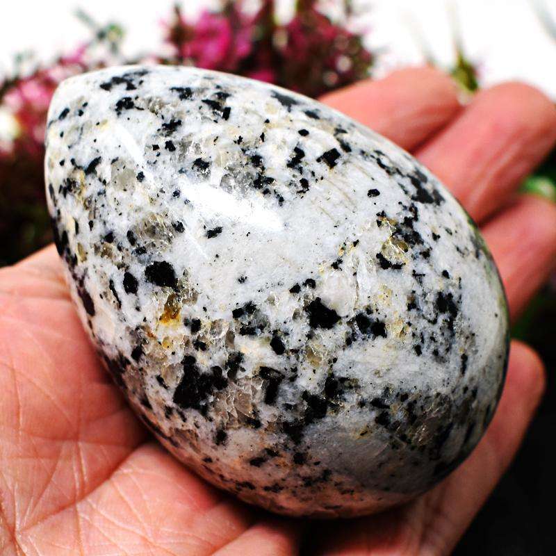 gemsmore:White Moonstone Hand Carved Reiki Healing Egg SIR